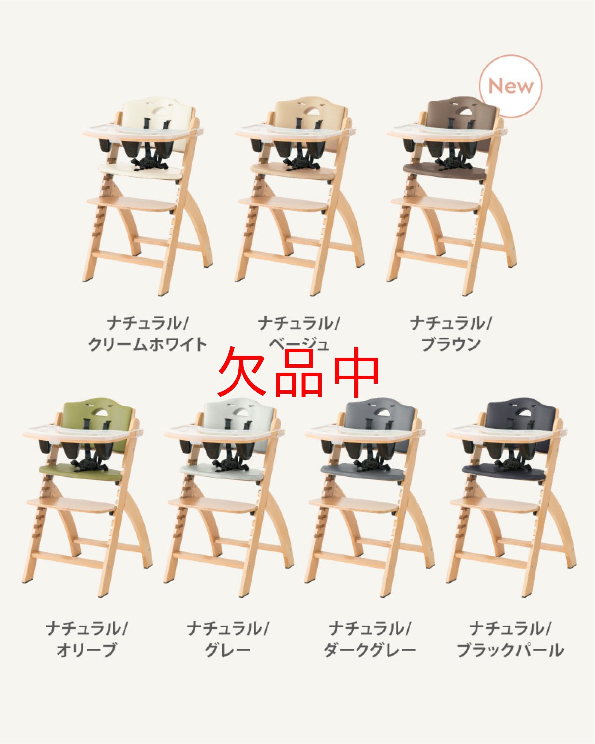 画像9: ビヨンドジュニア ギフトエディション（本体＋名入れ加工＋ギフトボックス） (9)
