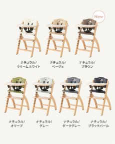 画像9: ビヨンドジュニア ギフトエディション（本体＋名入れ加工＋ギフトボックス） (9)