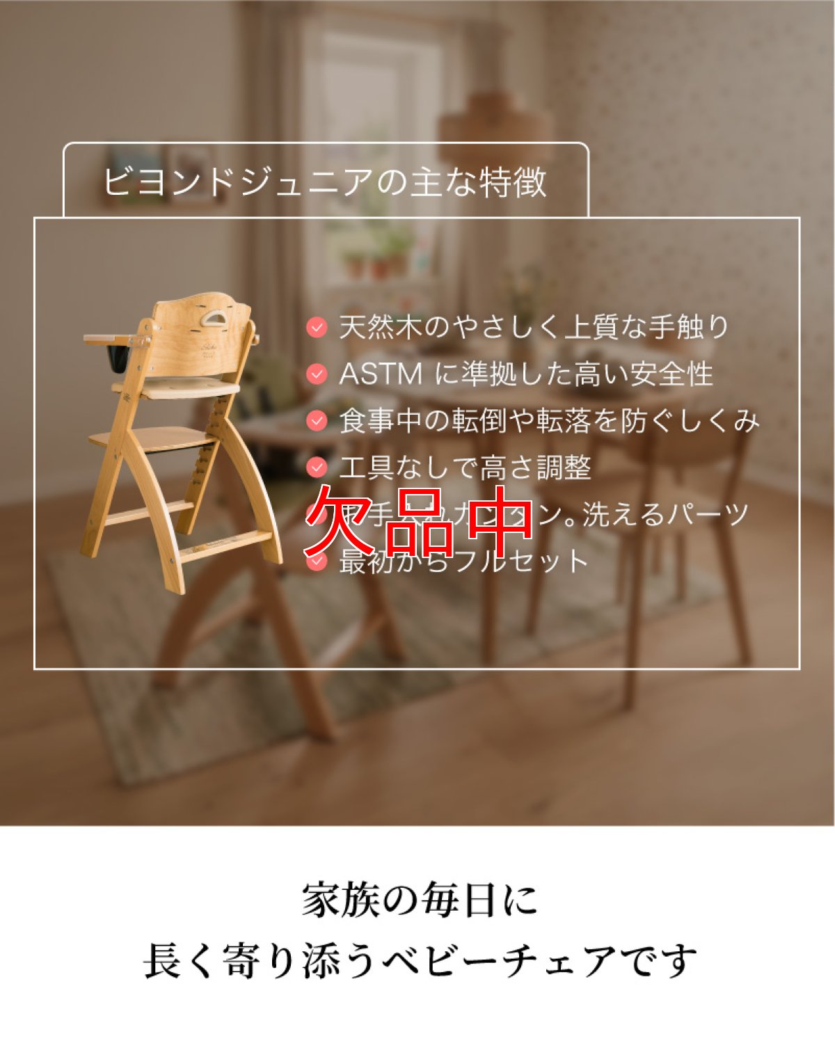 画像11: ビヨンドジュニア ギフトエディション（本体＋名入れ加工＋ギフトボックス） (11)