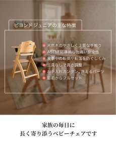 画像11: ビヨンドジュニア ギフトエディション（本体＋名入れ加工＋ギフトボックス） (11)