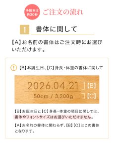 画像15: ビヨンドジュニア ギフトエディション（本体＋名入れ加工＋ギフトボックス） (15)