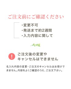 画像17: ビヨンドジュニア ギフトエディション（本体＋名入れ加工＋ギフトボックス） (17)