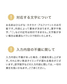 画像19: ビヨンドジュニア ギフトエディション（本体＋名入れ加工＋ギフトボックス） (19)