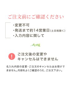 画像17: ビヨンドジュニア ギフトエディション（本体＋名入れ加工＋ギフトボックス） (17)