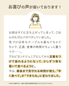 画像7: 【アウトレット】 ビヨンドジュニア ハイチェア (7)
