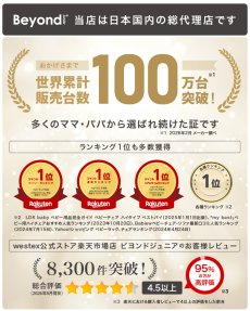 画像5: 【アウトレット】 ビヨンドジュニア ハイチェア (5)