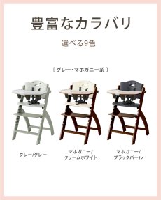 画像7: ビヨンドジュニア ハイチェア (7)